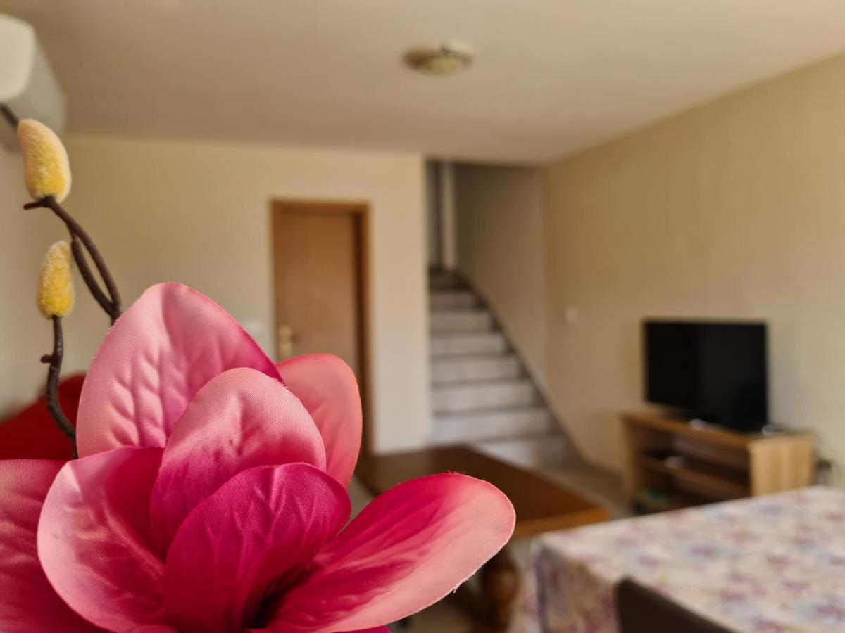 Apartman Senka Rogotin Lägenhet Exteriör bild